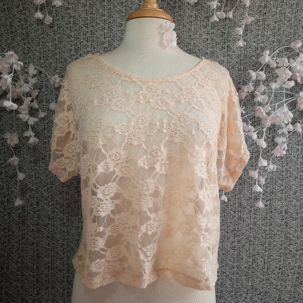 Chloe K Lace Box Crop Top